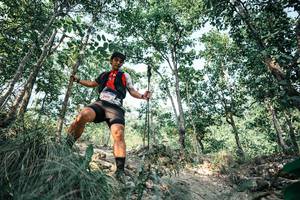 BIB: 
                            <button type="button" onclick="openModal(25985759)" class="btn btn-primary btn-sm float-right btn-popup" data-toggle="modal" data-target=".modal-high-quality">
                        <i class="fas fa-shopping-cart"></i> Add to Cart
                    </button>
                                            <button type="button" onclick="isThisMe(25985759, true)" class="btn btn-success btn-sm float-right btn-popup btn-isme hidden" data-toggle="tooltip" data-placement="bottom" title="นี่คือรูปของคุณใช่ไหม คลิกที่นี่เพื่อเอาเข้าอัลบั้ม">
                        <i class="fas fa-plus"></i> Add to album
                    </button>
                    <button type="button" onclick="isThisMe(25985759, false)" class="btn btn-warning btn-sm float-right btn-popup btn-isnotme hidden">
                        <i class="fas fa-ban"></i> Remove from album
                    </button>